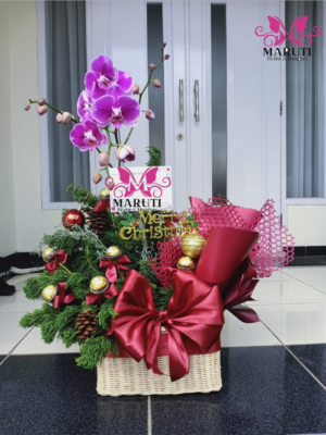 Christmas Hampers Orchid