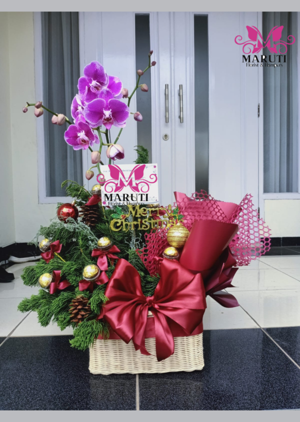 Christmas Hampers Orchid