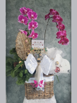 Christmas Hampers Orchid