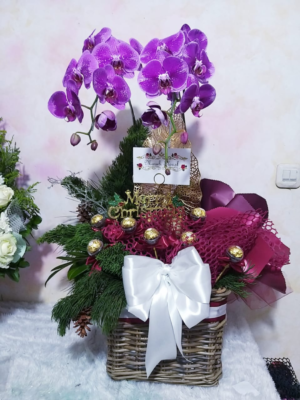 Orchid Hampers