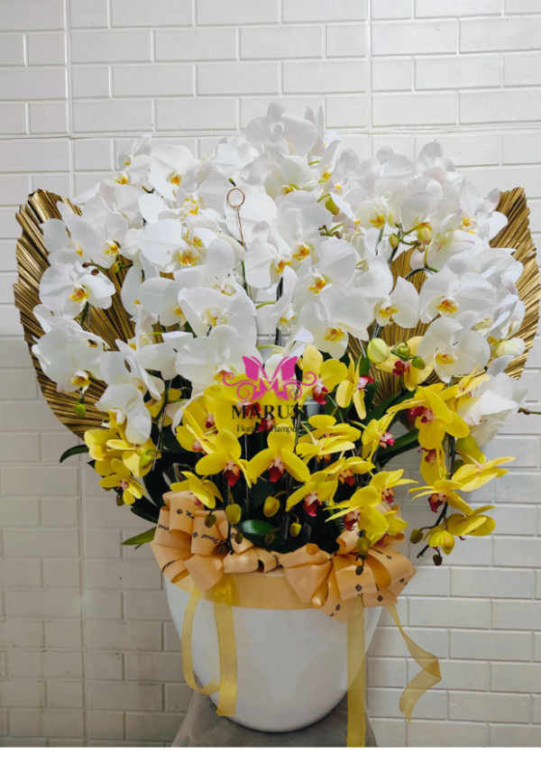 3429 White and Yello Orchid Flowers